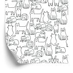 Behang Katten In Zwart-Wit