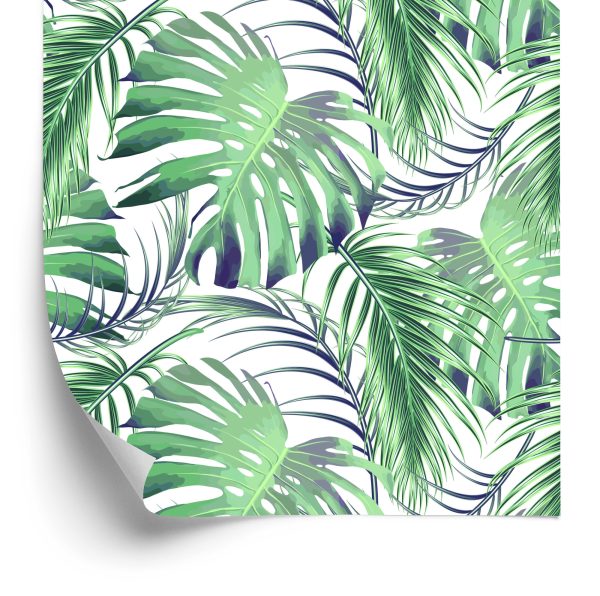 Behang Bladeren Van De Palm En Monstera