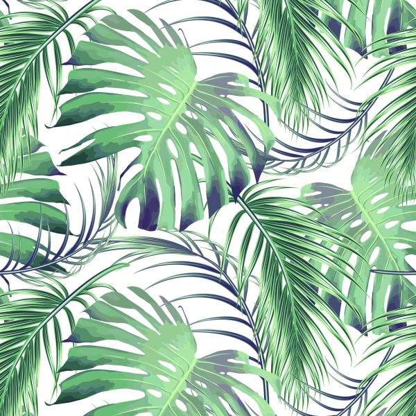 Behang Bladeren Van De Palm En Monstera - Afbeelding 2