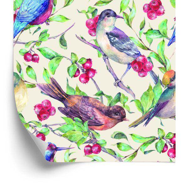Behang Prachtige Kleurrijke Vogels