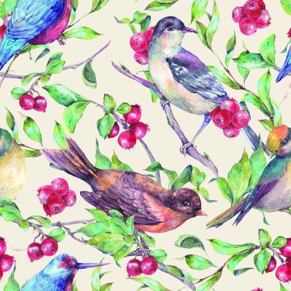 Behang Prachtige Kleurrijke Vogels - Afbeelding 2