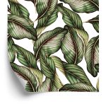 Behang Planten