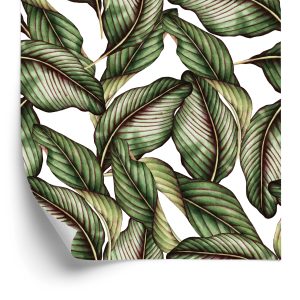 Behang Planten
