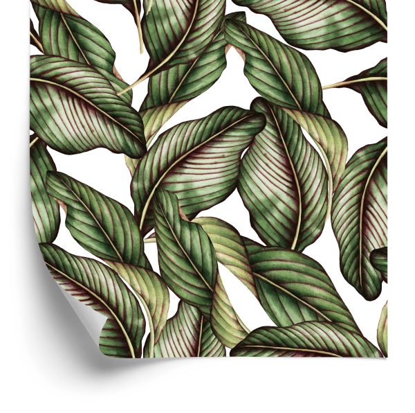 Behang Planten