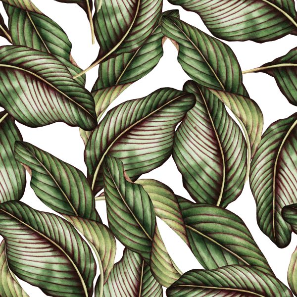 Behang Planten - Afbeelding 2