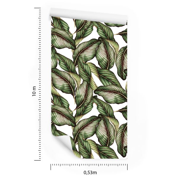 Behang Planten - Afbeelding 8