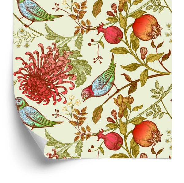 Behang Prachtige Kleurrijke Vogels