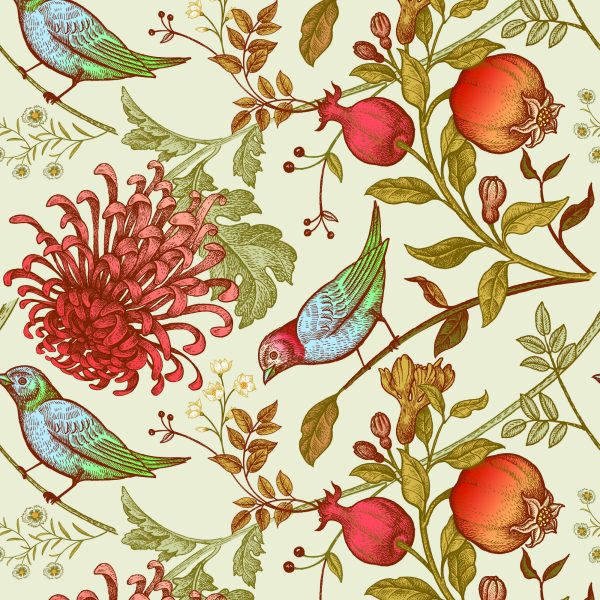 Behang Prachtige Kleurrijke Vogels - Afbeelding 2