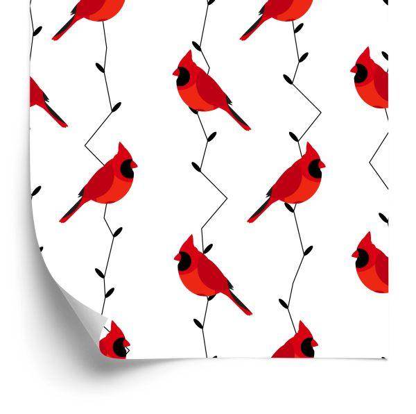 Behang Prachtige Kleurrijke Vogels