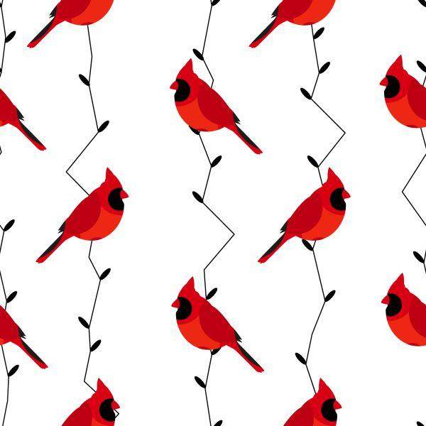 Behang Prachtige Kleurrijke Vogels - Afbeelding 2