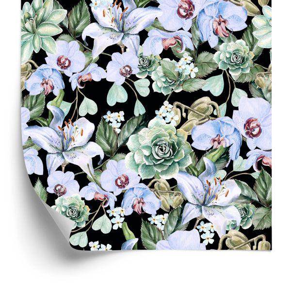 Behang Planten. Natuur. Orchideeën. Orchideeën. Orchideeën