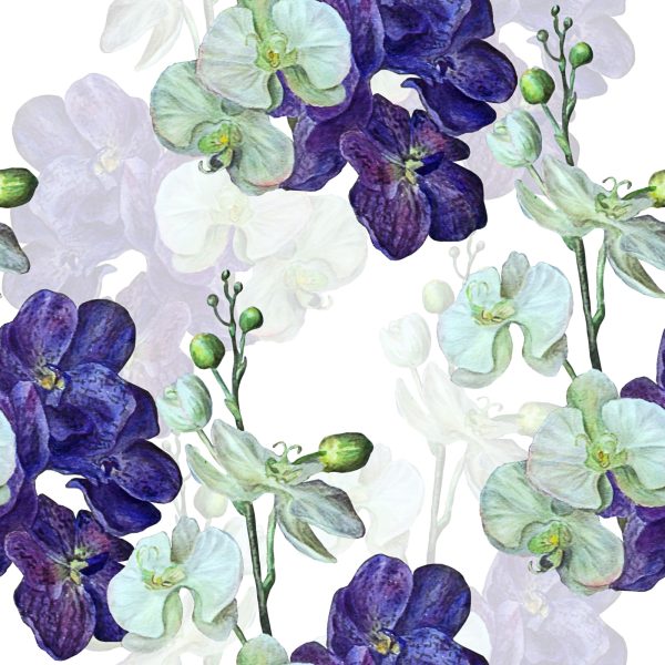 Behang Orchidee Orchidee Bloemen Natuur - Afbeelding 2