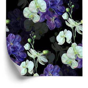 Behang Orchidee. Orchidee. Natuur. Bloemen