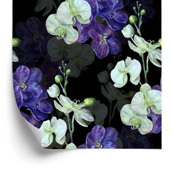 Behang Orchidee. Orchidee. Natuur. Bloemen