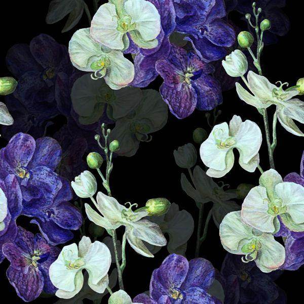 Behang Orchidee. Orchidee. Natuur. Bloemen - Afbeelding 2