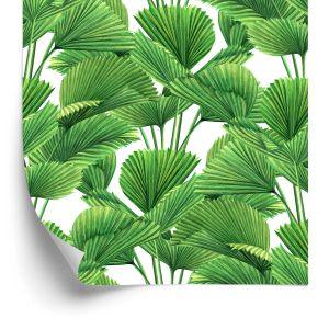 Behang Aquarel Kokosnoot En Palmbladeren