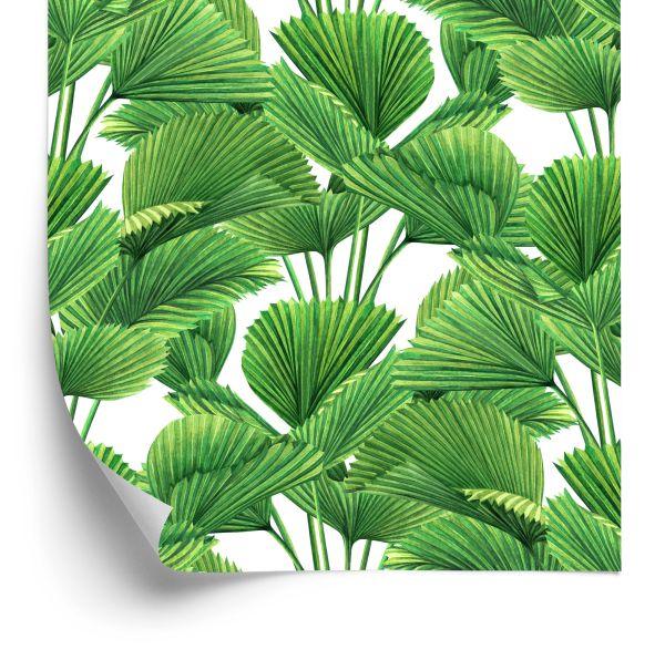 Behang Aquarel Kokosnoot En Palmbladeren