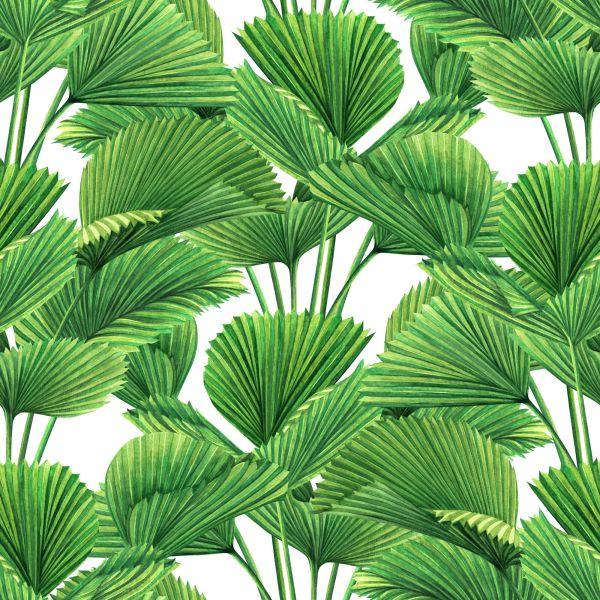 Behang Aquarel Kokosnoot En Palmbladeren - Afbeelding 2