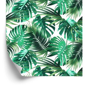 Behang Bladeren Van De Palm En Monstera