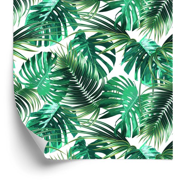 Behang Bladeren Van De Palm En Monstera