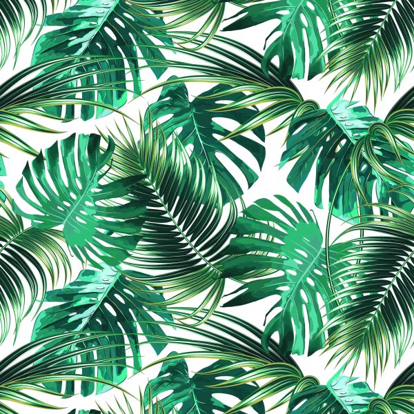 Behang Bladeren Van De Palm En Monstera - Afbeelding 2