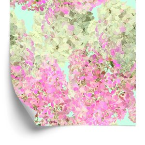 Behang Prachtige Kleurrijke Bloemen