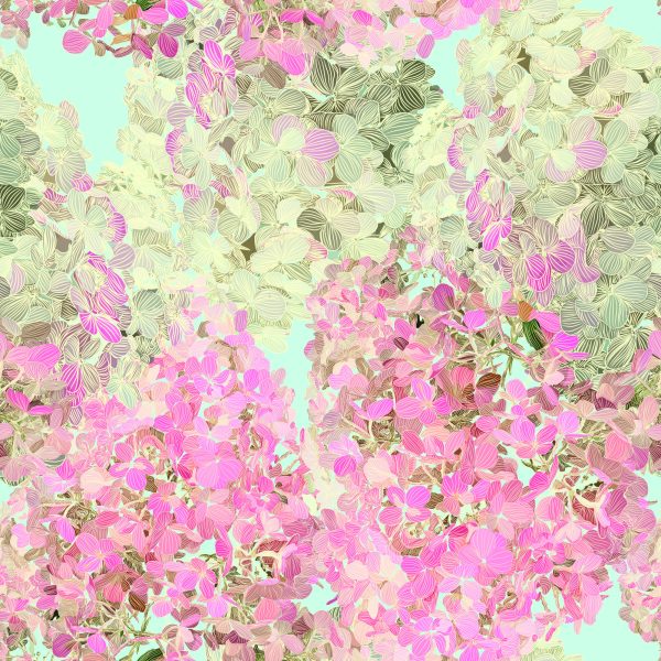 Behang Prachtige Kleurrijke Bloemen - Afbeelding 2
