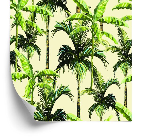 Behang Groen. Palm. Bladeren. Natuur. Natuur