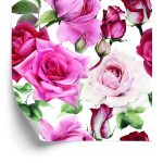 Behang Rozen In Trendy Kleuren