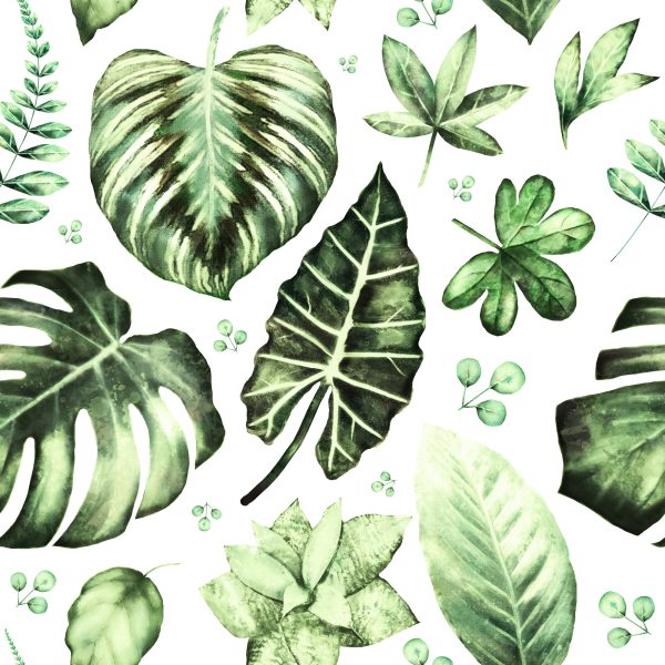 Behang Tropische Groene Bladeren - Afbeelding 2