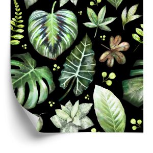 Behang Planten Op Een Donkere Achtergrond