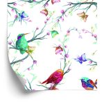 Behang Kleurrijke Vogels Op Een Gekleurde Achtergrond
