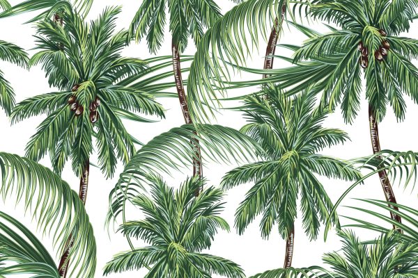 Behang Groen, Natuur, Palmbomen, Slaapkamer, - Afbeelding 2