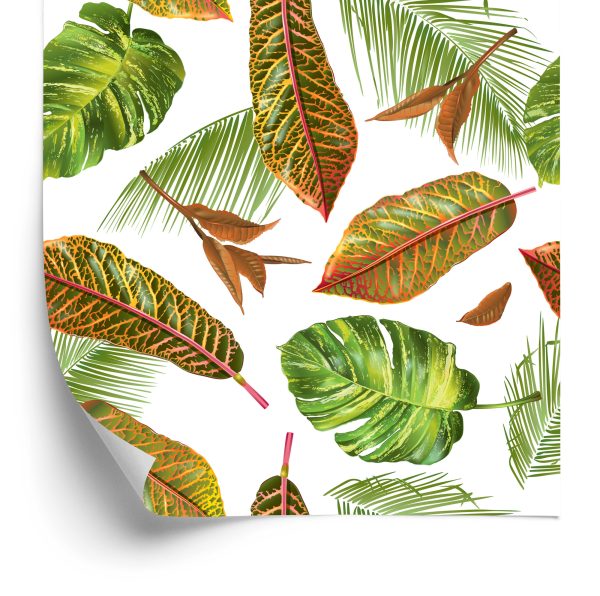 Behang Tropische Palmbladeren