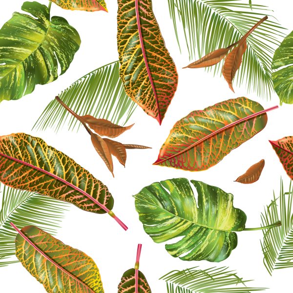 Behang Tropische Palmbladeren - Afbeelding 2