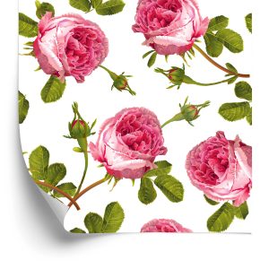 Behang Rozen Met Bladeren