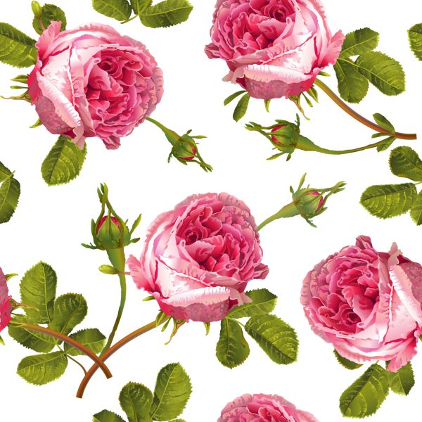 Behang Rozen Met Bladeren - Afbeelding 2