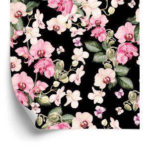 Behang Voor Een Slaapkamer. Natuur. Bloemen. Orchidee. Orchidee