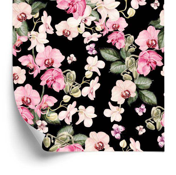 Behang Voor Een Slaapkamer. Natuur. Bloemen. Orchidee. Orchidee