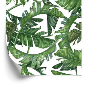 Behang Prachtige Exotische Bladeren