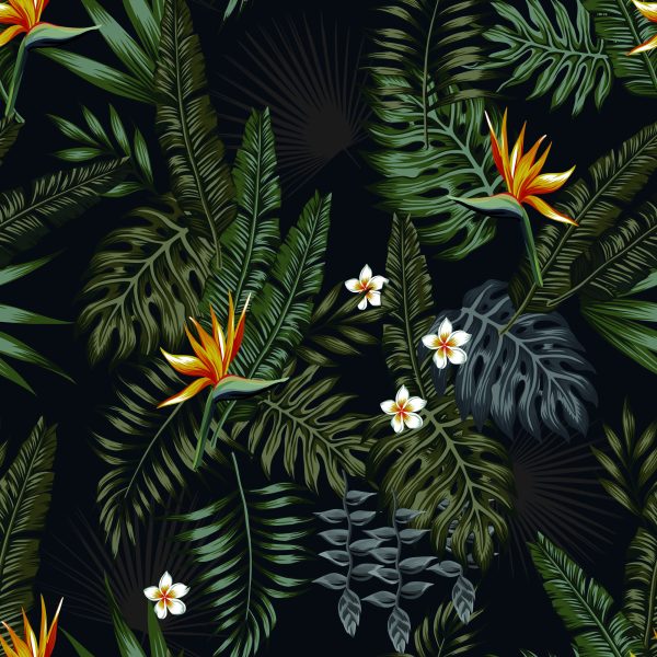 Behang Tropische Bladeren En Bloemen - Afbeelding 2