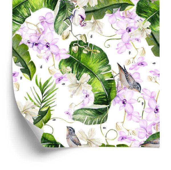 Behang Planten, Natuur, Orchideeën, Bloemen