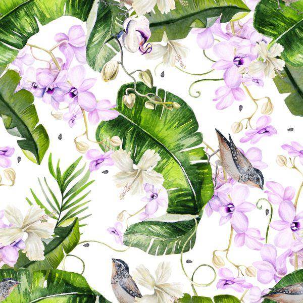 Behang Planten, Natuur, Orchideeën, Bloemen - Afbeelding 2