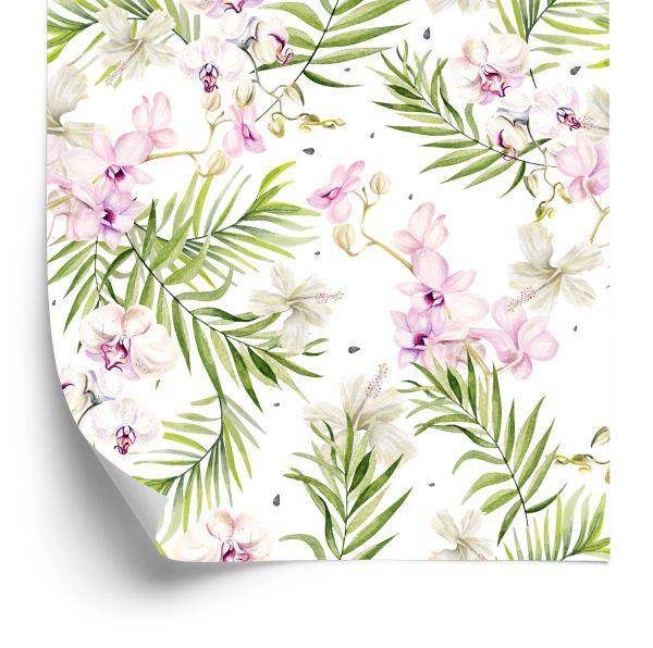 Behang Orchideeën, Orchideeën, Natuurbloemen