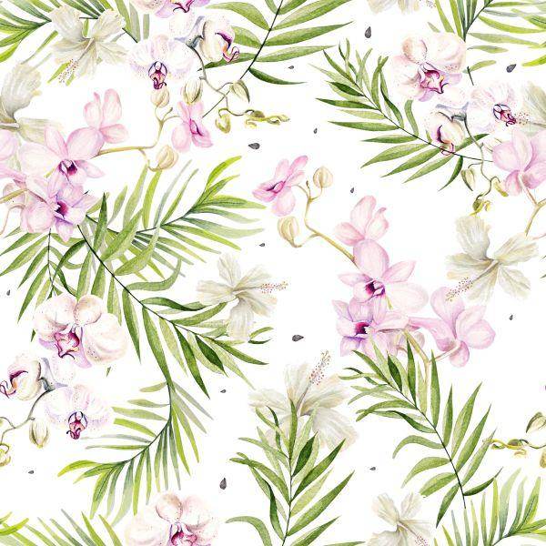 Behang Orchideeën, Orchideeën, Natuurbloemen - Afbeelding 2