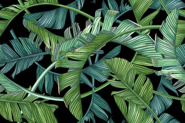 Behang Tropische Palmbladeren - Afbeelding 2