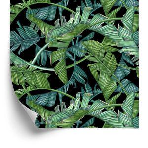 Behang Tropische Palmbladeren