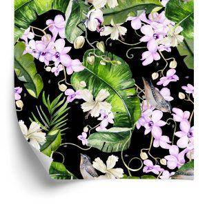 Behang Voor Woonkamer Orchideeën Natuur Bloemen Planten