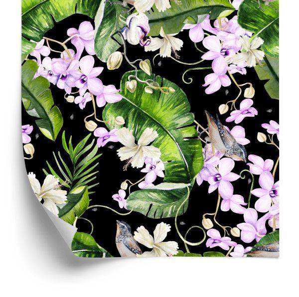Behang Voor Woonkamer Orchideeën Natuur Bloemen Planten