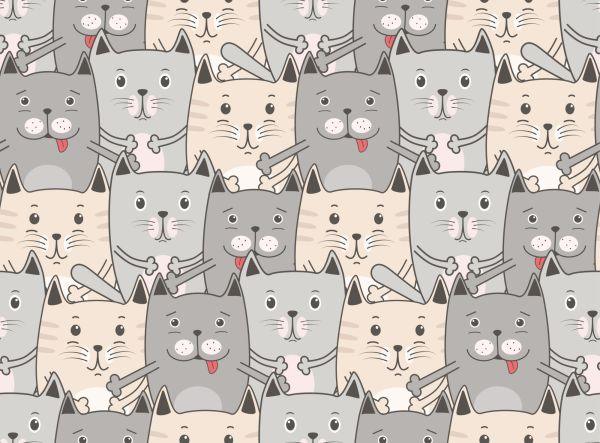 Behang Voor Kinderen - Katten - Afbeelding 2